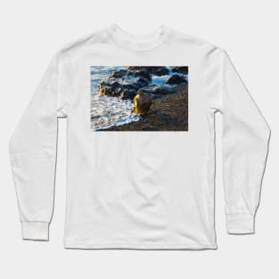 Diving Helmet In Sea Foam Long Sleeve T-Shirt